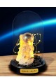 Kişiye Özel Nasa Ay Üzerinde Astronot Temalı Led Işıklı Pilli Mika Fanus