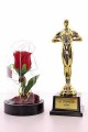 Yılın En İyi Aşkı Oscar Ödülü ve Led Işıklı Fanus Gül Seti