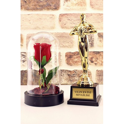 Yılın En İyi Sevgilisi Oscar Ödülü ve Led Işıklı Fanus Gül Seti