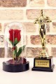 Yılın En İyi Sevgilisi Oscar Ödülü ve Led Işıklı Fanus Gül Seti