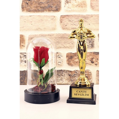Canım Sevgilim Oscar Ödülü ve Led Işıklı Fanus Gül Seti