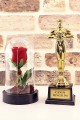 Canım Sevgilim Oscar Ödülü ve Led Işıklı Fanus Gül Seti