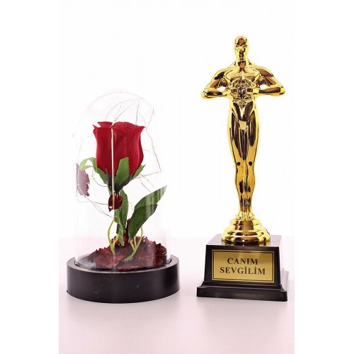 Canım Sevgilim Oscar Ödülü ve Led Işıklı Fanus Gül Seti