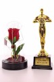 Canım Sevgilim Oscar Ödülü ve Led Işıklı Fanus Gül Seti