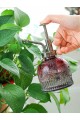 Vintage Cam Bitki Sulama Spreyi – Dekoratif Püskürtme Kolonya Şişesi 200 ml Kırmızı