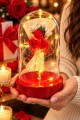 Işıklı Mika Fanus İçinde Mini Kırmızı Gül Buketi Romantik Sevgiliye Hediye Dekoratif Aranjman 14 cm