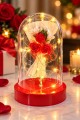 Işıklı Mika Fanus İçinde Mini Kırmızı Gül Buketi Romantik Sevgiliye Hediye Dekoratif Aranjman 14 cm