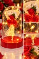 Işıklı Mika Fanus İçinde Mini Kırmızı Gül Buketi Romantik Sevgiliye Hediye Dekoratif Aranjman 14 cm